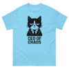 CEO of Chaos Tee – Chaos Tee for Creatives Who Lead with Side-Eye